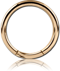 ZIRCON GOLD PVD COATED SURGICAL STEEL GRADE 316L SMOOTH SEGMENT RING