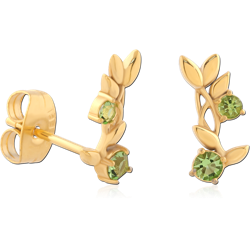 GOLD PVD COATED SURGICAL STEEL GRADE 316L JEWELED EAR STUDS PAIR