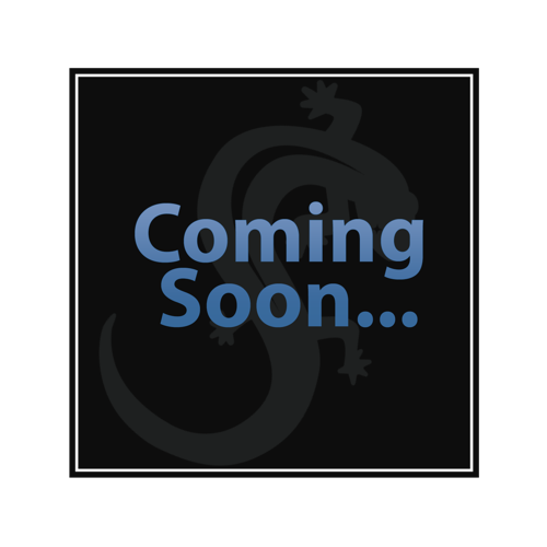 ROSE GOLD PVD COATED SURGICAL STEEL GRADE 316L TWISTED WIRE EARRINGS